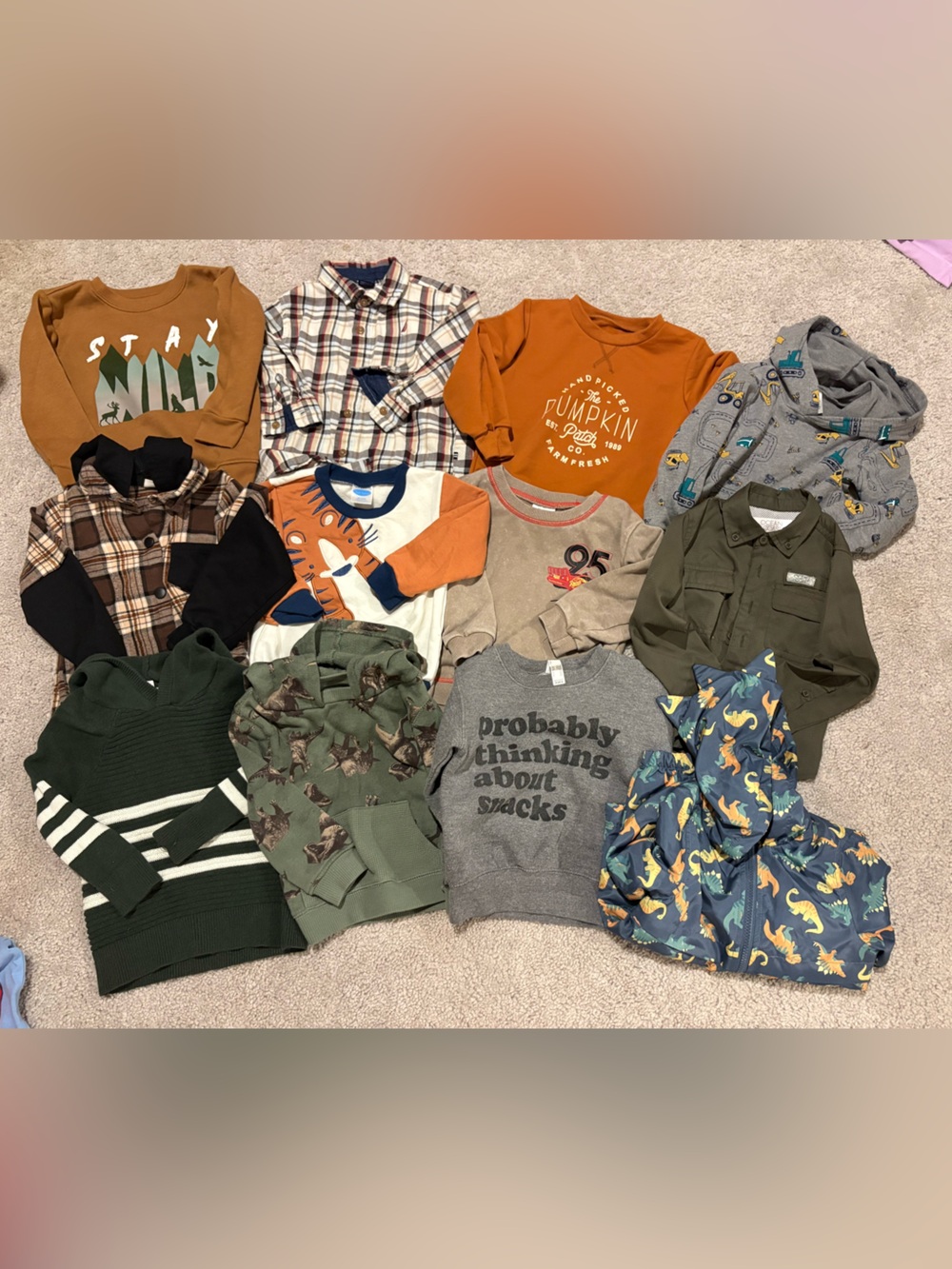 Bundle of Toddler Boys Fall Long-Sleeve Shirts and sweatshirts 2T